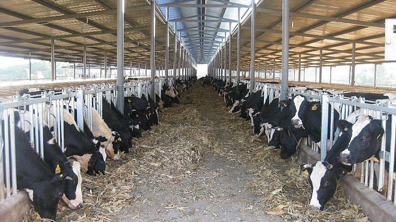 艾思捷定制款PGV035系列減速機(jī)--應(yīng)用在畜牧業(yè)、飼料行業(yè) (2).jpg